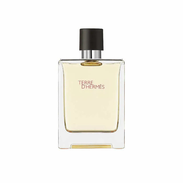 Hermès Terre D'Hermes Eau de Toilette 100 ml