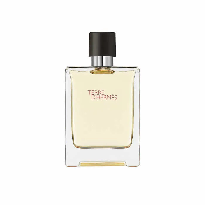 Hermès Terre D'Hermes Eau de Toilette 100 ml