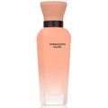 Adolfo Dominguez Terracota Musk Eau de Parfum 60 ml